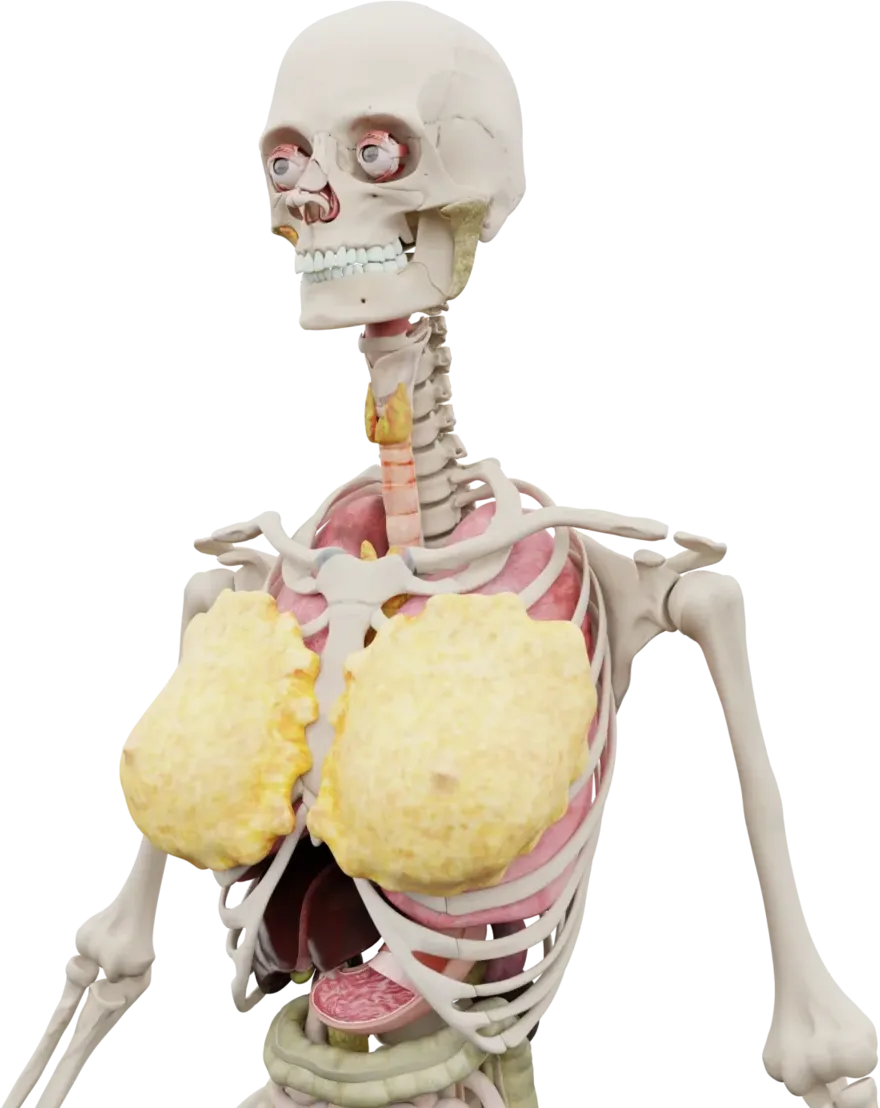 Organs